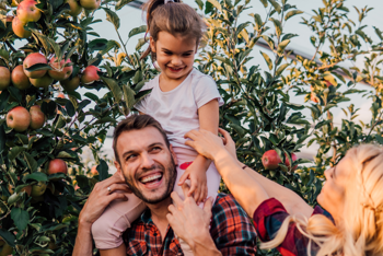 A Taste of Autumn: Your Guide to Orchards Around the Lakes Region