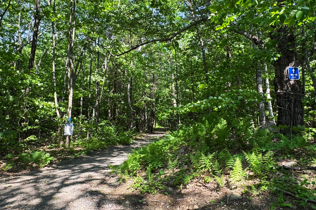 Hiking trail