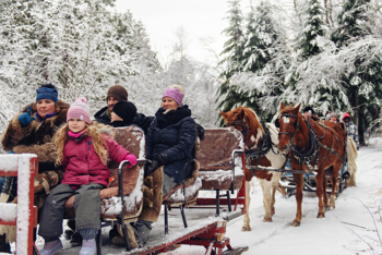 Embracing the Magic: Winter Wonderland Adventures in NH