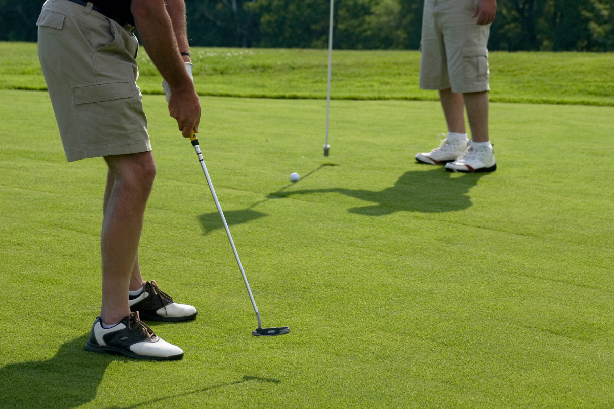 Golf course at Steele Hill