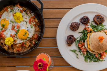 Savoring the Bounty: Farm-to-Table Dining Across New Hampshire