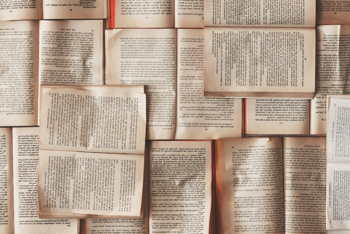 Relax, Recharge, Read: 5 Novels for Every Vacation Mood