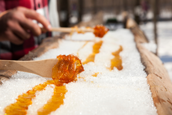 Tapping into Tradition: Discover Maple Syrup Season in New Hampshire