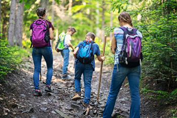 Spring into Adventure: The Best Spring Hiking in New Hampshire's Lakes Region
