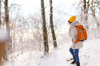 Unplug to Reconnect: Nature’s 48-Hour Effect